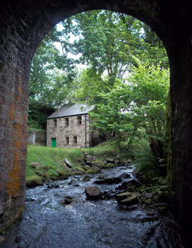 Under the Bridge at Demonstration Site